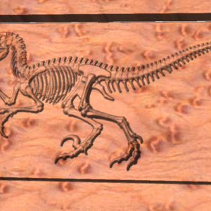 Custom Raptor Fossil MDF Carving — Small